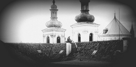 vložkovani